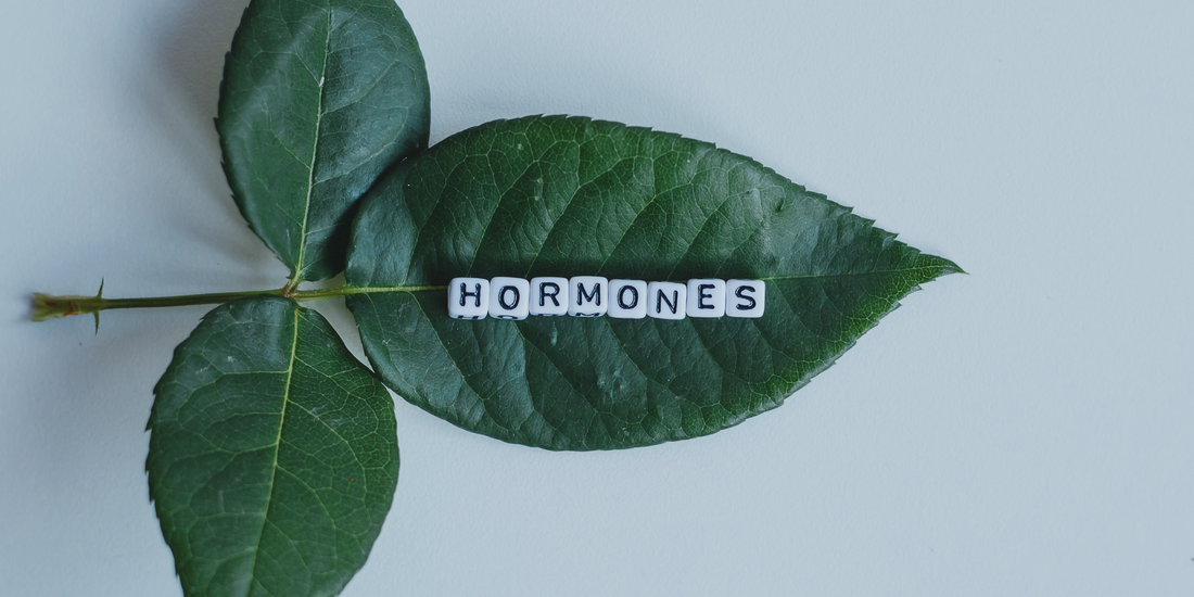 Green leaf with the word hormones written on white and black  scrabble tiles 