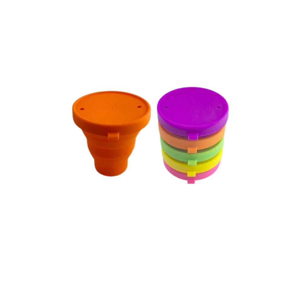 Floweret Steam Steriliser & Carry Case